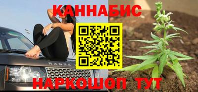 гашик Бузулук