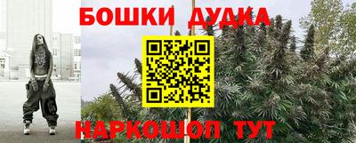 гашик Бузулук