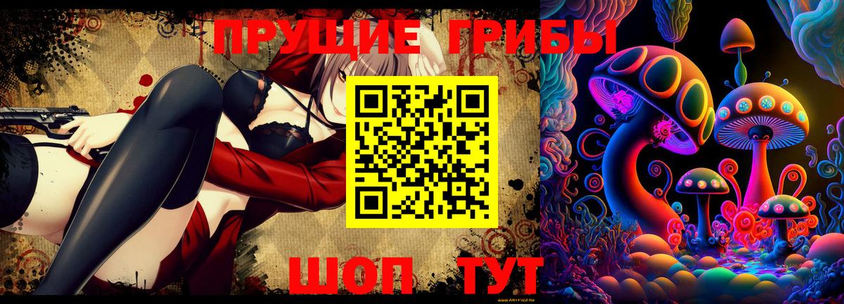 Галлюциногенные грибы GOLDEN TEACHER Новотроицк